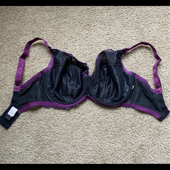 Ewa Michalak SF Iris 65H - Picture 6 of 11